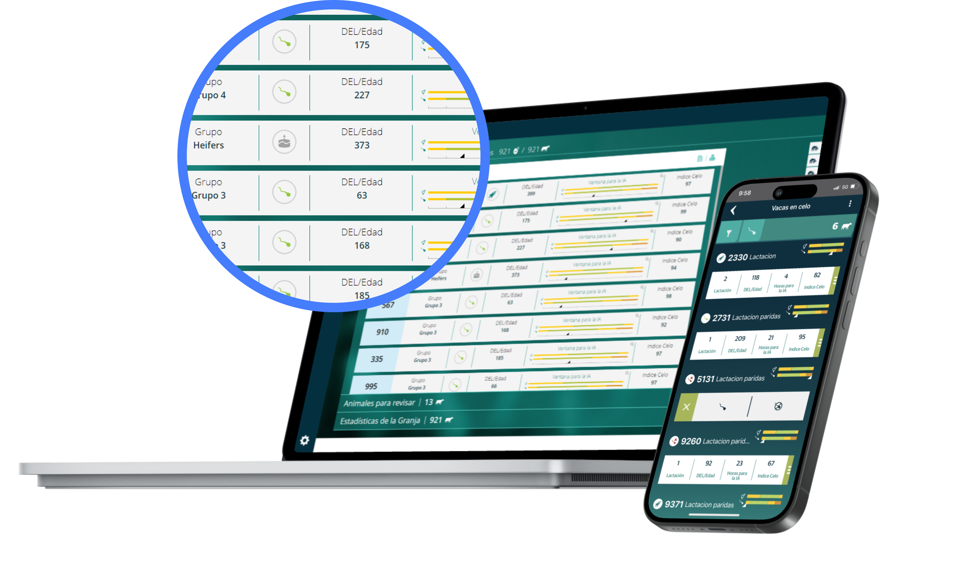 datos mostrados en portátiles y dispositivos móviles